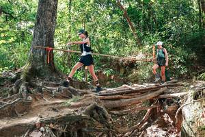 BIB: 
                            <button type="button" onclick="openModal(27718102)" class="btn btn-primary btn-sm float-right btn-popup" data-toggle="modal" data-target=".modal-high-quality">
                        <i class="fas fa-shopping-cart"></i> Add to Cart
                    </button>
                                            <button type="button" onclick="isThisMe(27718102, true)" class="btn btn-success btn-sm float-right btn-popup btn-isme hidden" data-toggle="tooltip" data-placement="bottom" title="นี่คือรูปของคุณใช่ไหม คลิกที่นี่เพื่อเอาเข้าอัลบั้ม">
                        <i class="fas fa-plus"></i> Add to album
                    </button>
                    <button type="button" onclick="isThisMe(27718102, false)" class="btn btn-warning btn-sm float-right btn-popup btn-isnotme hidden">
                        <i class="fas fa-ban"></i> Remove from album
                    </button>